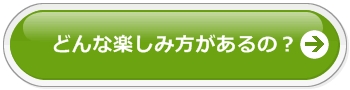 どんな楽しみ方があるの？